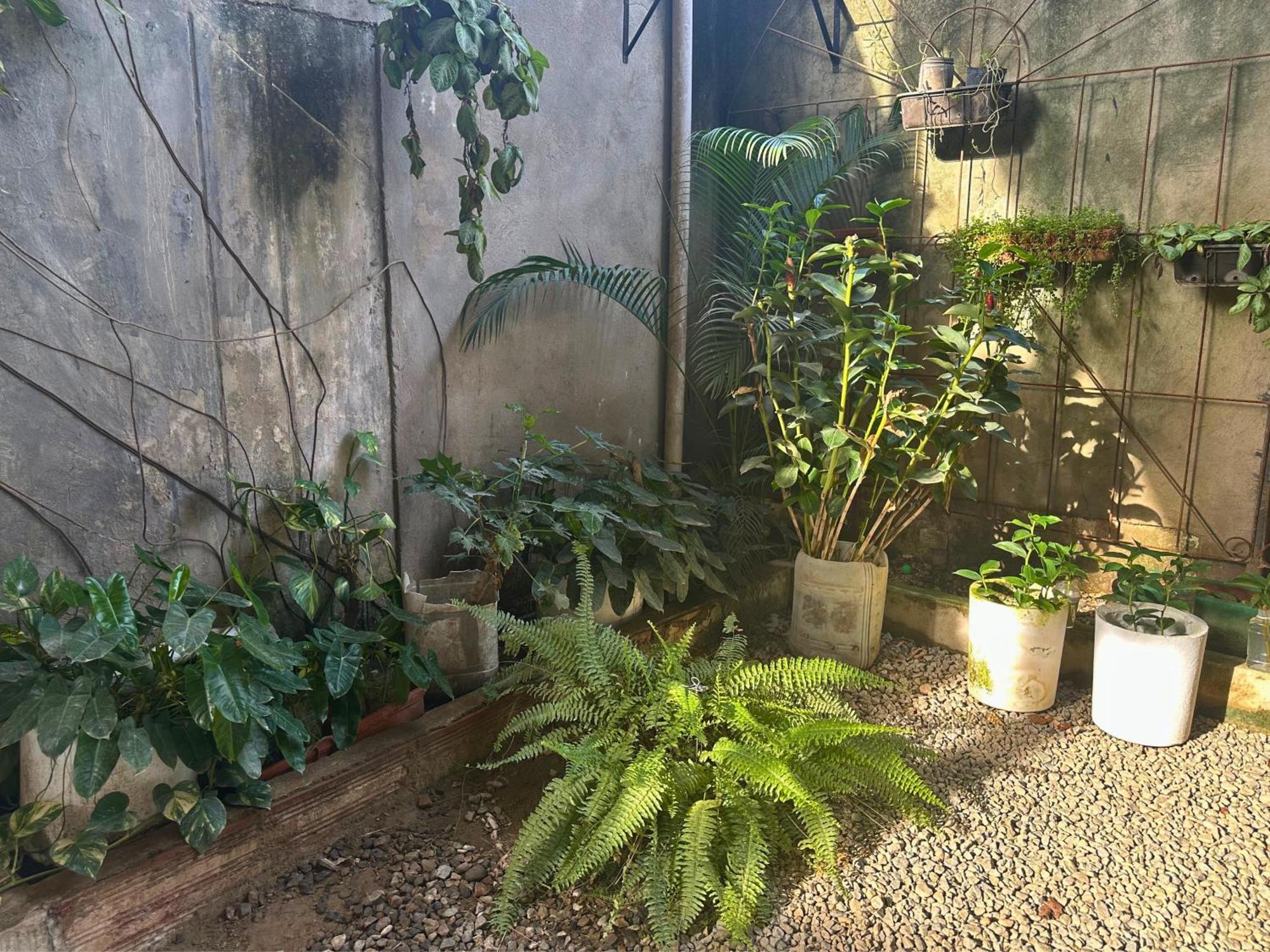 Casa Colibri Palomino Hotel Exterior photo